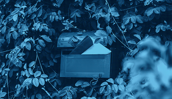 Overfilled wall-mounted mailbox surrounded by greenery.