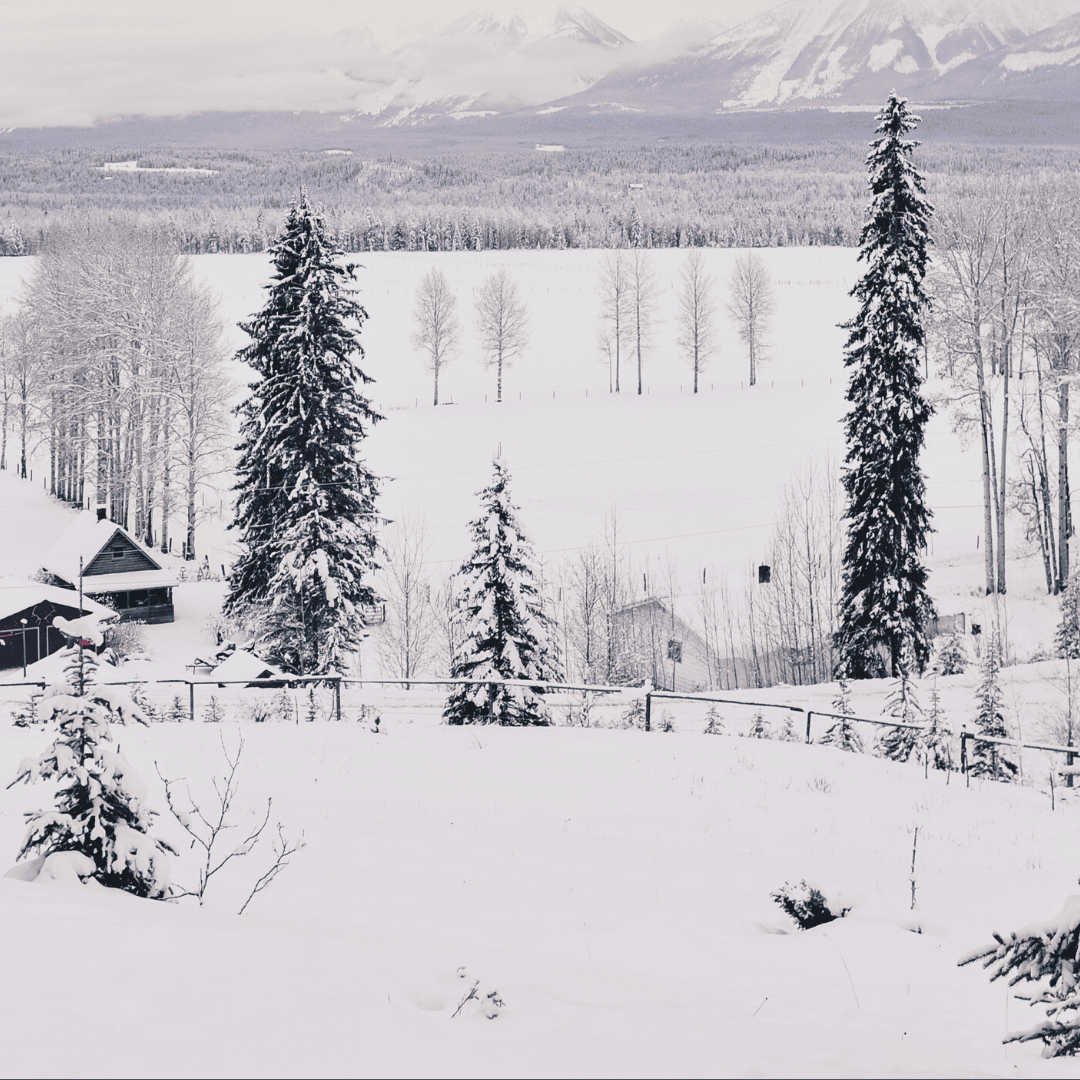 5 Tips for Cottage Shopping in the Winter