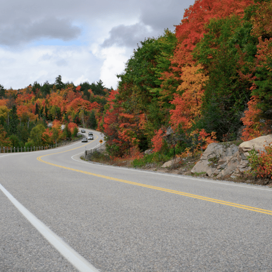 10 of the most scenic fall drives you can take in Ontario