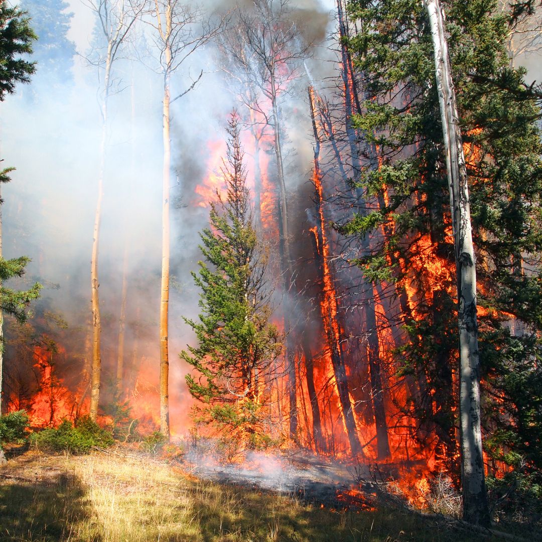 Getting Ready for Wildfire Season in Canada